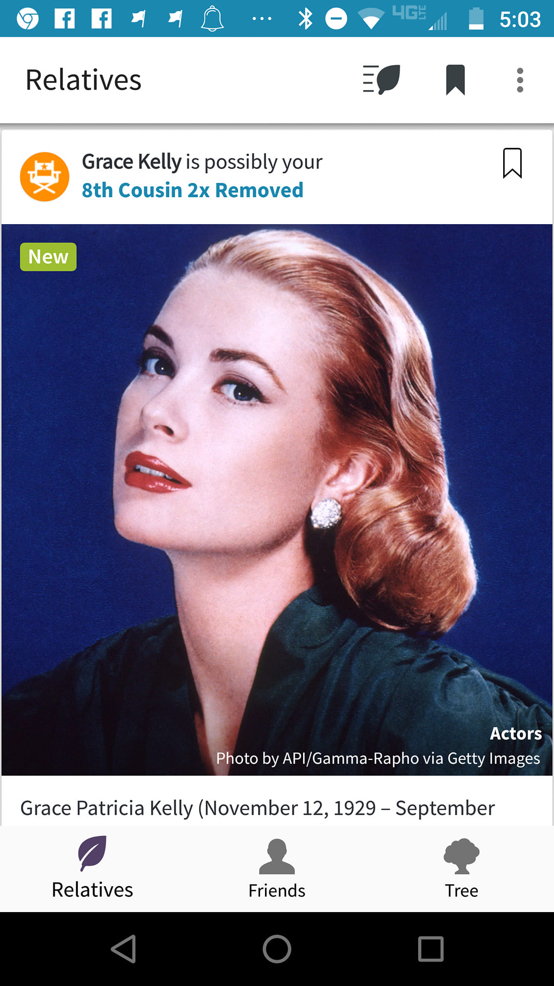 Grace Kelly Portrait